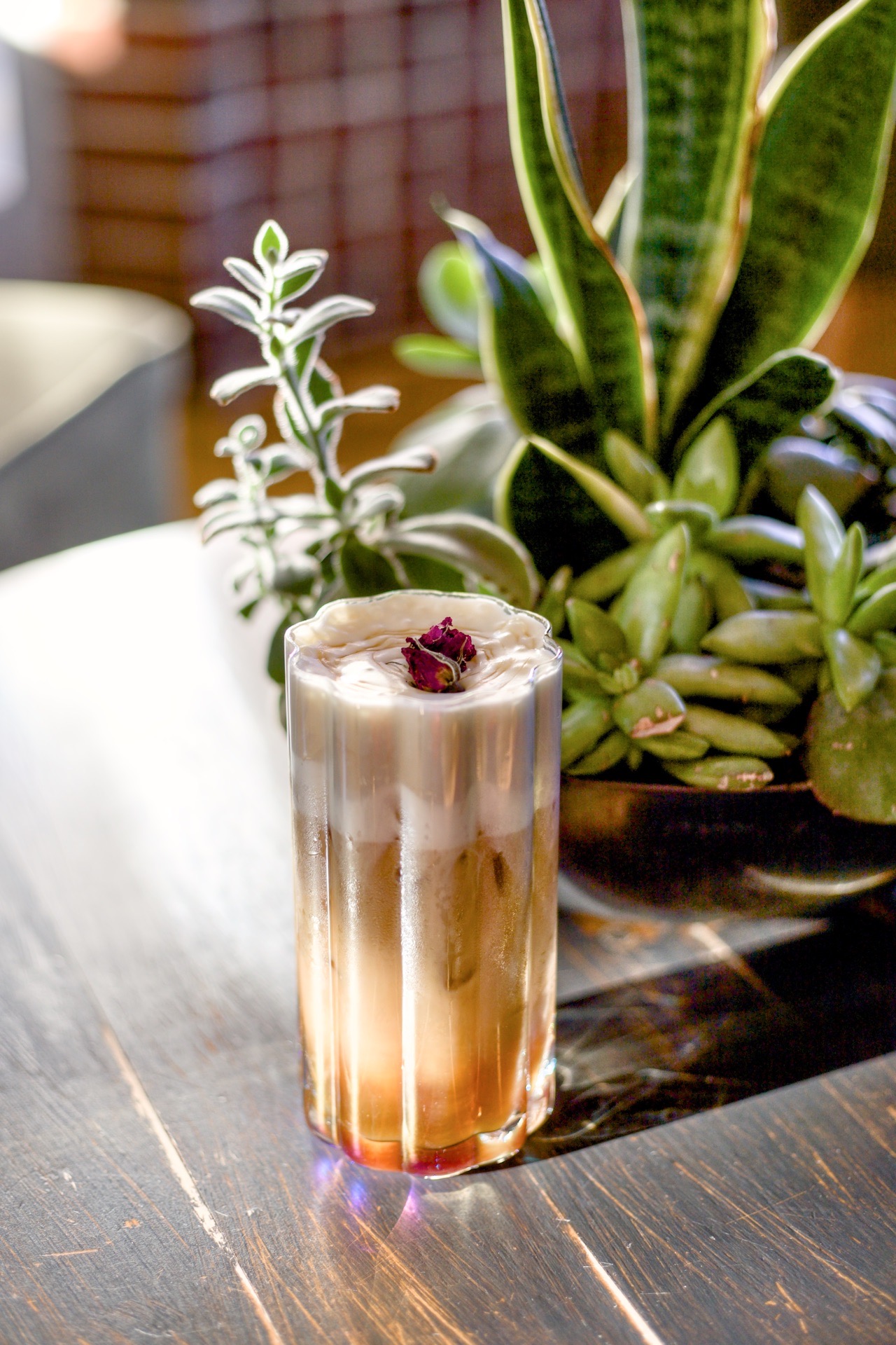 Hummingbird Cold Brew