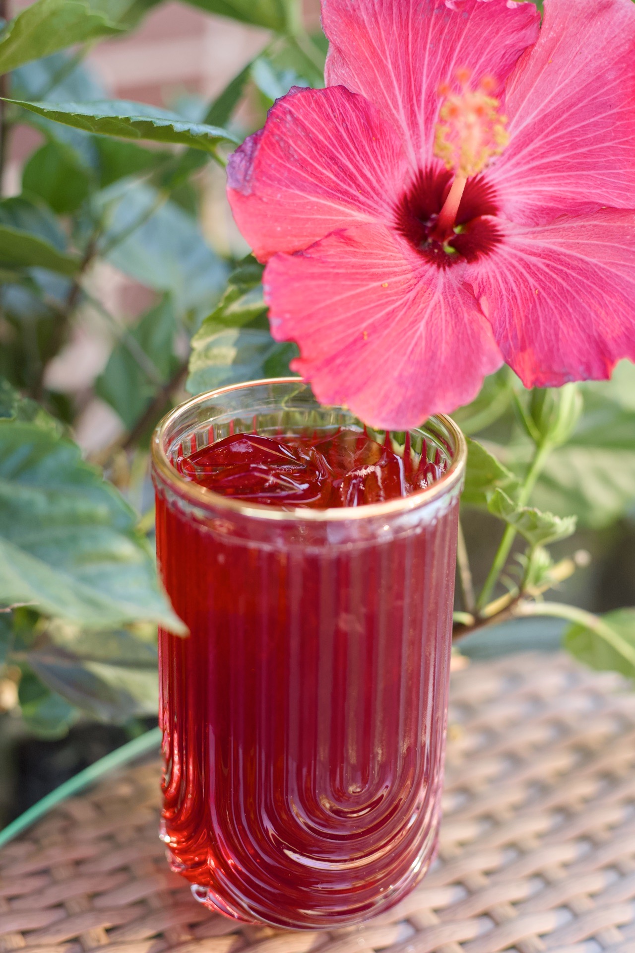 Rosa Jamaica Chai Refresher